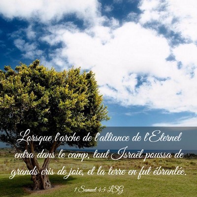 Picture 03 - 1 Samuel 4:5 LSG - Lorsque l'arche de l'alliance de l'Eternel entra - Bible Verse Picture