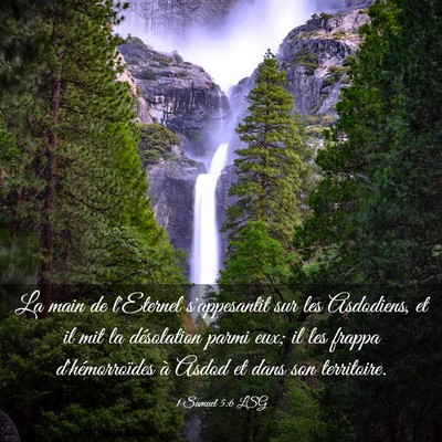 Picture 03 - 1 Samuel 5:6 LSG - La main de l'Eternel s'appesantit sur les - Bible Verse Picture