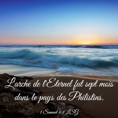 Picture 03 - 1 Samuel 6:1 LSG - L'arche de l'Eternel fut sept mois dans le pays - Bible Verse Picture
