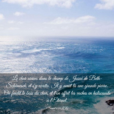 Picture 03 - 1 Samuel 6:14 LSG - Le char arriva dans le champ de Josué de - Bible Verse Picture