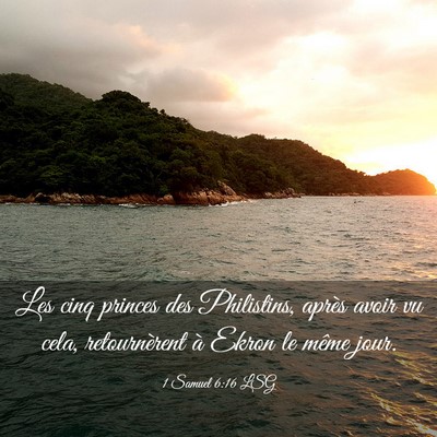 Picture 03 - 1 Samuel 6:16 LSG - Les cinq princes des Philistins, après avoir vu - Bible Verse Picture