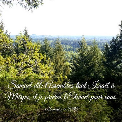 Picture 03 - 1 Samuel 7:5 LSG - Samuel dit: Assemblez tout Israël à Mitspa, et - Bible Verse Picture
