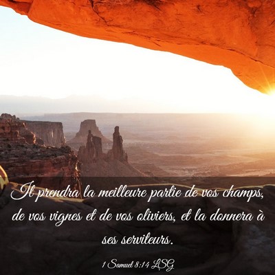 Picture 03 - 1 Samuel 8:14 LSG - Il prendra la meilleure partie de vos champs, de - Bible Verse Picture