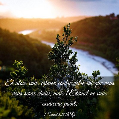 Picture 03 - 1 Samuel 8:18 LSG - Et alors vous crierez contre votre roi que vous - Bible Verse Picture
