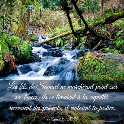 Picture 03 - 1 Samuel 8:3 LSG - Les fils de Samuel ne marchèrent point sur ses - Bible Verse Picture