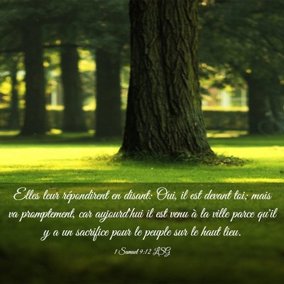 Picture 03 - 1 Samuel 9:12 LSG - Elles leur répondirent en disant: Oui, il est - Bible Verse Picture