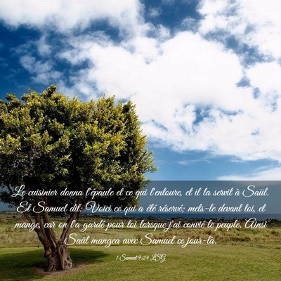Picture 03 - 1 Samuel 9:24 LSG - Le cuisinier donna l'épaule et ce qui l'entoure, - Bible Verse Picture