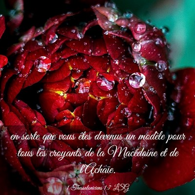 Picture 03 - 1 Thessaloniciens 1:7 LSG - en sorte que vous êtes devenus un modèle pour - Bible Verse Picture