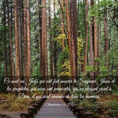 Picture 03 - 1 Thessaloniciens 2:15 LSG - Ce sont ces Juifs qui ont fait mourir le Seigneur - Bible Verse Picture