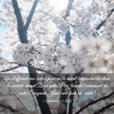 Picture 03 - 1 Thessaloniciens 3:13 LSG - afin d'affermir vos coeurs pour qu'ils soient - Bible Verse Picture