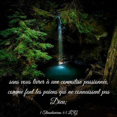 Picture 03 - 1 Thessaloniciens 4:5 LSG - sans vous livrer à une convoitise passionnée, - Bible Verse Picture