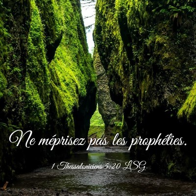 Picture 03 - 1 Thessaloniciens 5:20 LSG - Ne méprisez pas les - Bible Verse Picture