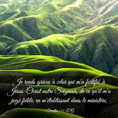 Picture 03 - 1 Timothée 1:12 LSG - Je rends grâces à celui qui m'a fortifié, à - Bible Verse Picture