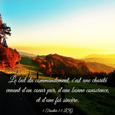 Picture 03 - 1 Timothée 1:5 LSG - Le but du commandement, c'est une charité venant - Bible Verse Picture