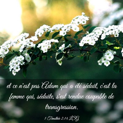 Picture 03 - 1 Timothée 2:14 LSG - et ce n'est pas Adam qui a été séduit, c'est - Bible Verse Picture