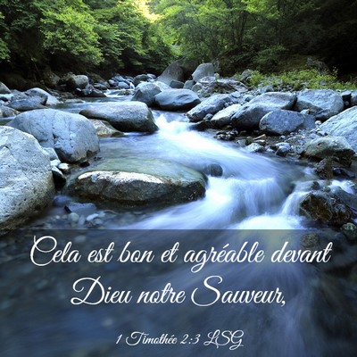 Picture 03 - 1 Timothée 2:3 LSG - Cela est bon et agréable devant Dieu notre - Bible Verse Picture