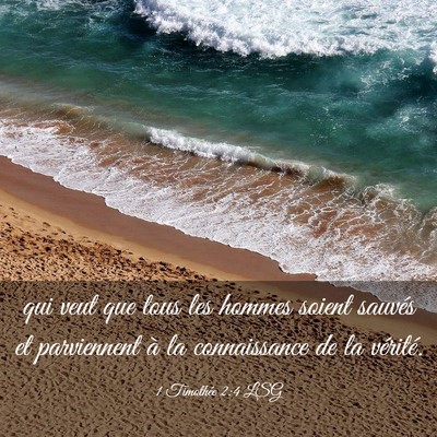 Picture 03 - 1 Timothée 2:4 LSG - qui veut que tous les hommes soient sauvés et - Bible Verse Picture