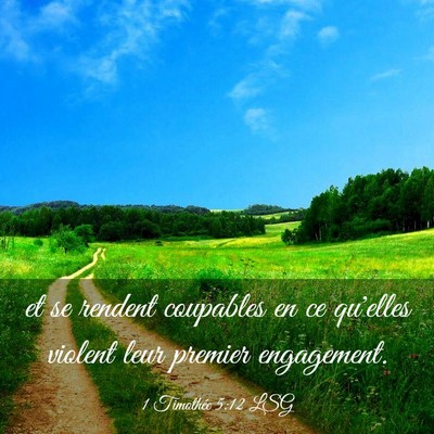 Picture 03 - 1 Timothée 5:12 LSG - et se rendent coupables en ce qu'elles violent - Bible Verse Picture
