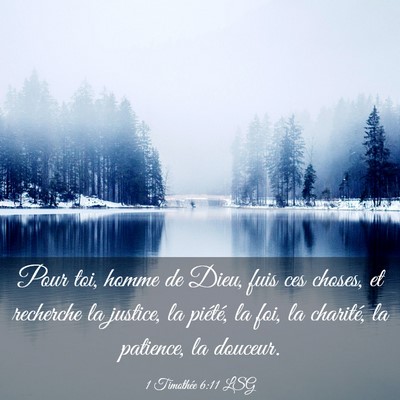 Picture 03 - 1 Timothée 6:11 LSG - Pour toi, homme de Dieu, fuis ces choses, et - Bible Verse Picture