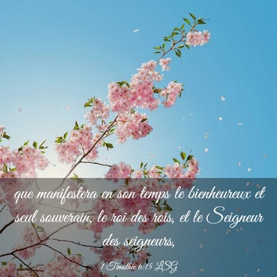 Picture 03 - 1 Timothée 6:15 LSG - que manifestera en son temps le bienheureux et - Bible Verse Picture