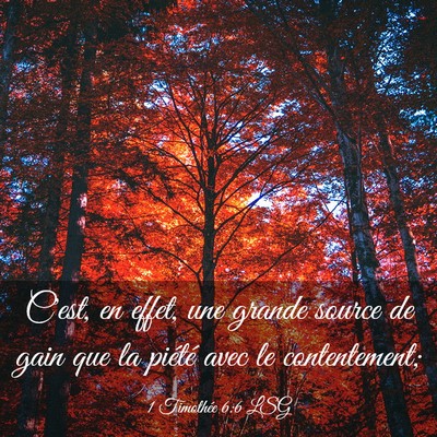 Picture 03 - 1 Timothée 6:6 LSG - C'est, en effet, une grande source de gain que la - Bible Verse Picture