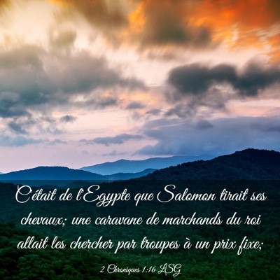 Picture 03 - 2 Chroniques 1:16 LSG - C'était de l'Egypte que Salomon tirait ses - Bible Verse Picture