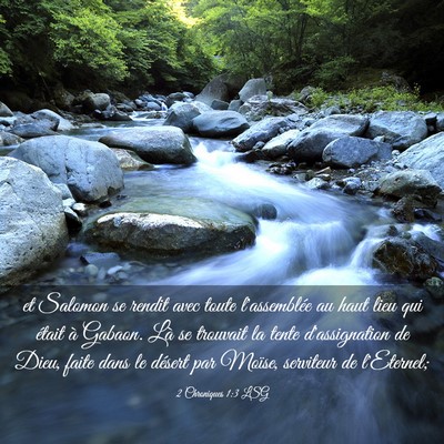 Picture 03 - 2 Chroniques 1:3 LSG - et Salomon se rendit avec toute l'assemblée au - Bible Verse Picture