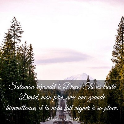 Picture 03 - 2 Chroniques 1:8 LSG - Salomon répondit à Dieu: Tu as traité David, - Bible Verse Picture