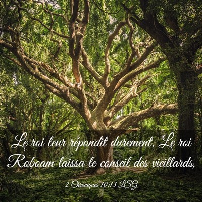 Picture 03 - 2 Chroniques 10:13 LSG - Le roi leur répondit durement. Le roi Roboam - Bible Verse Picture