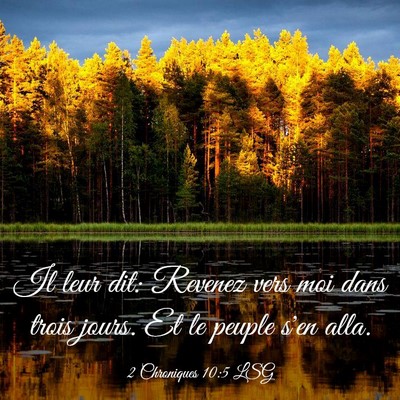 Picture 03 - 2 Chroniques 10:5 LSG - Il leur dit: Revenez vers moi dans trois jours. - Bible Verse Picture