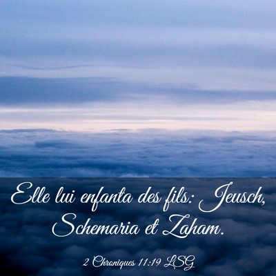 Picture 03 - 2 Chroniques 11:19 LSG - Elle lui enfanta des fils: Jeusch, Schemaria et - Bible Verse Picture