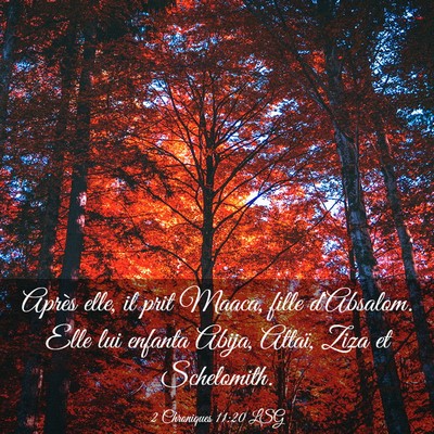 Picture 03 - 2 Chroniques 11:20 LSG - Après elle, il prit Maaca, fille d'Absalom. Elle - Bible Verse Picture