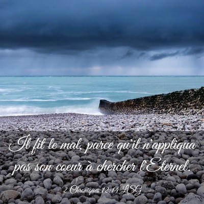 Picture 03 - 2 Chroniques 12:14 LSG - Il fit le mal, parce qu'il n'appliqua pas son - Bible Verse Picture
