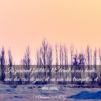 Picture 03 - 2 Chroniques 15:14 LSG - Ils jurèrent fidélité à l'Eternel à voix - Bible Verse Picture
