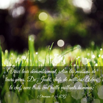 Picture 03 - 2 Chroniques 17:14 LSG - Voici leur dénombrement, selon les maisons de - Bible Verse Picture