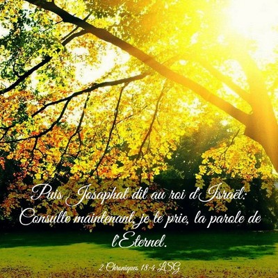 Picture 03 - 2 Chroniques 18:4 LSG - Puis Josaphat dit au roi d'Israël: Consulte - Bible Verse Picture