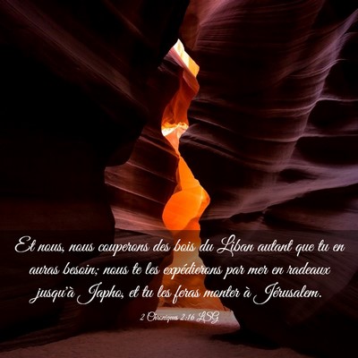 Picture 03 - 2 Chroniques 2:16 LSG - Et nous, nous couperons des bois du Liban autant - Bible Verse Picture
