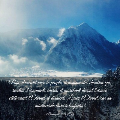 Picture 03 - 2 Chroniques 20:21 LSG - Puis, d'accord avec le peuple, il nomma des - Bible Verse Picture
