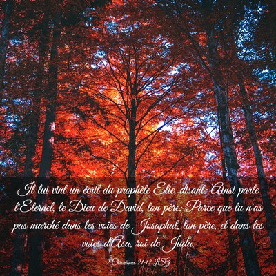 Picture 03 - 2 Chroniques 21:12 LSG - Il lui vint un écrit du prophète Elie, disant: - Bible Verse Picture