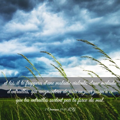 Picture 03 - 2 Chroniques 21:15 LSG - et toi, il te frappera d'une maladie violente, - Bible Verse Picture