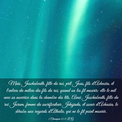 Picture 03 - 2 Chroniques 22:11 LSG - Mais Joschabeath, fille du roi, prit Joas, fils - Bible Verse Picture