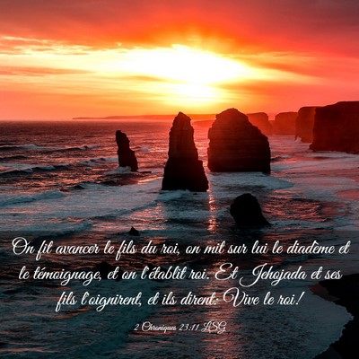 Picture 03 - 2 Chroniques 23:11 LSG - On fit avancer le fils du roi, on mit sur lui le - Bible Verse Picture