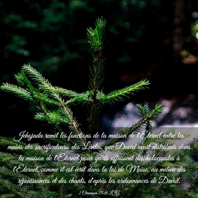 Picture 03 - 2 Chroniques 23:18 LSG - Jehojada remit les fonctions de la maison de - Bible Verse Picture