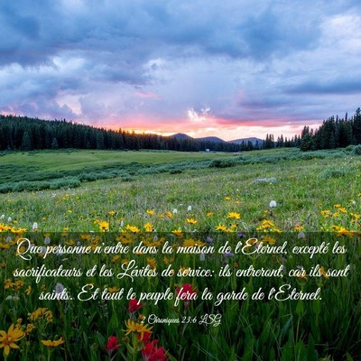 Picture 03 - 2 Chroniques 23:6 LSG - Que personne n'entre dans la maison de l'Eternel, - Bible Verse Picture