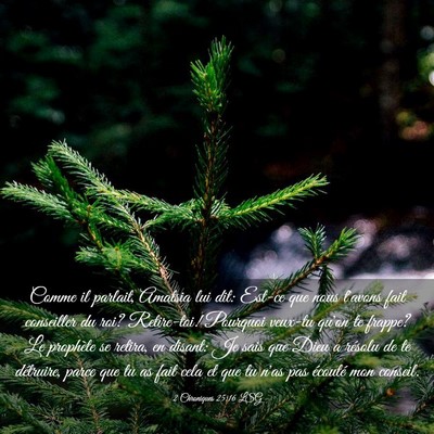 Picture 03 - 2 Chroniques 25:16 LSG - Comme il parlait, Amatsia lui dit: Est-ce que - Bible Verse Picture