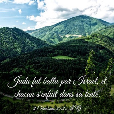 Picture 03 - 2 Chroniques 25:22 LSG - Juda fut battu par Israël, et chacun s'enfuit - Bible Verse Picture