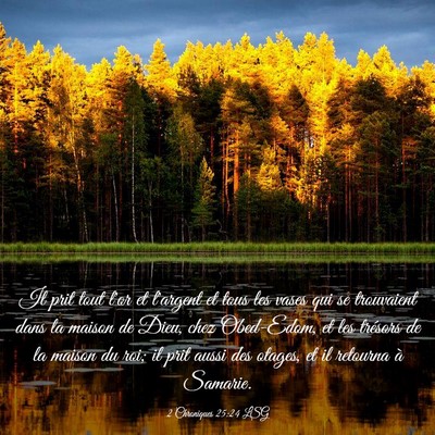 Picture 03 - 2 Chroniques 25:24 LSG - Il prit tout l'or et l'argent et tous les vases - Bible Verse Picture