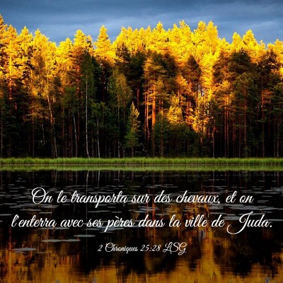 Picture 03 - 2 Chroniques 25:28 LSG - On le transporta sur des chevaux, et on l'enterra - Bible Verse Picture