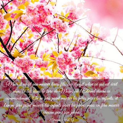 Picture 03 - 2 Chroniques 25:4 LSG - Mais il ne fit pas mourir leurs fils, car il agit - Bible Verse Picture