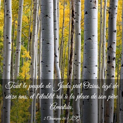 Picture 03 - 2 Chroniques 26:1 LSG - Tout le peuple de Juda prit Ozias, âgé de seize - Bible Verse Picture